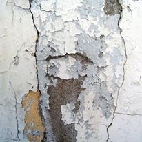 mold damage on walls